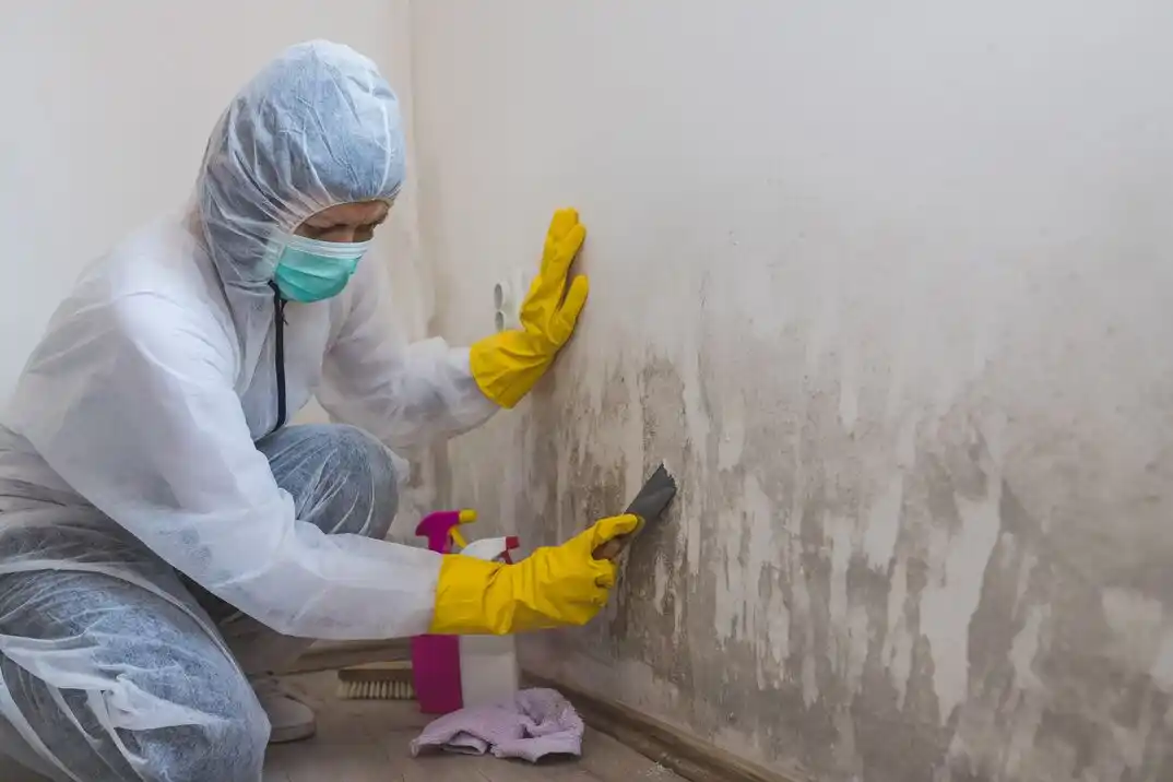 water damage restoration service Skunk City